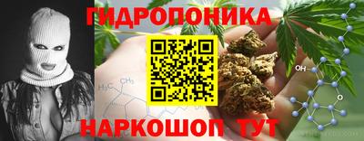 спиды Будённовск