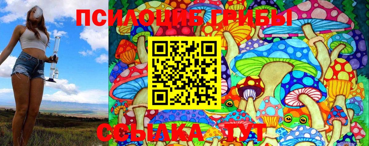 Костомукша  Галлюциногенные грибы GOLDEN TEACHER  Вход с VPN 